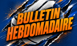 Bulletin Hebdomadaire